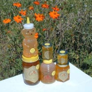 Marshall's Farm Honey