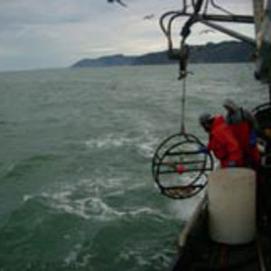 Mary Lu Seafoods