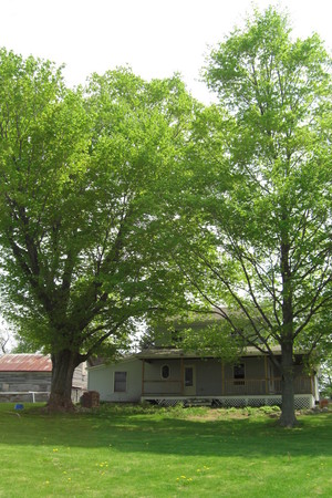 Porter House Rocks