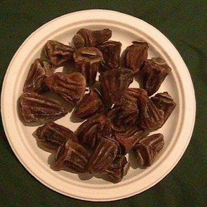 Rancho Padre Farms