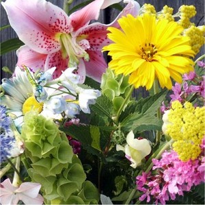 Dorian Hill Flower Farm