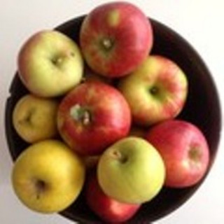 Good Box Organics