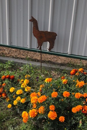 Trimbelle Valley Fiber Farm LLC