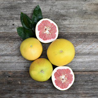 Frog Hollow Farm CSA