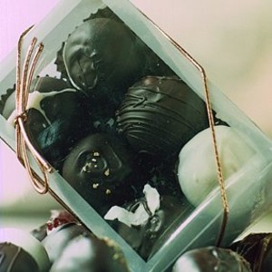 River Chocolate Company