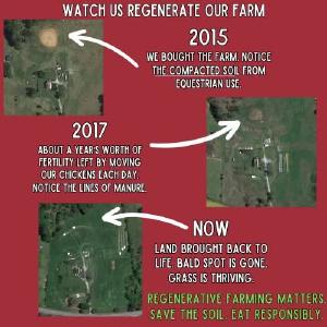 Grateful Pastures