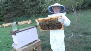 Honey Hole Apiary