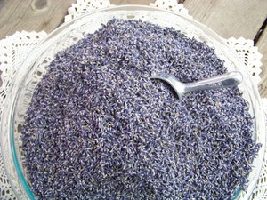 Sauvie Island Lavender Farm