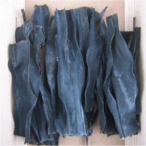 Pacific Sun Kelp Ltd