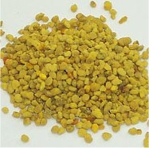 Olmo Apiaries