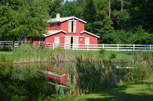 The Barn on Berry Lane