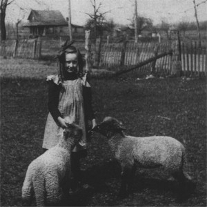 Cranberry Moon Farm