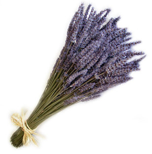 Blue Moon Lavender Farm