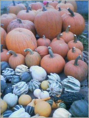 Crowley Family Farm