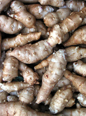 Garden Medicinals and Culinaries