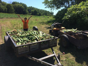 Guldan Family Farm