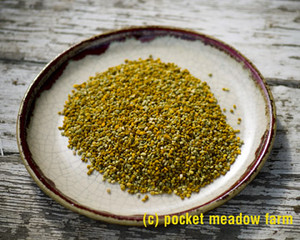 Pocket Meadow Farm