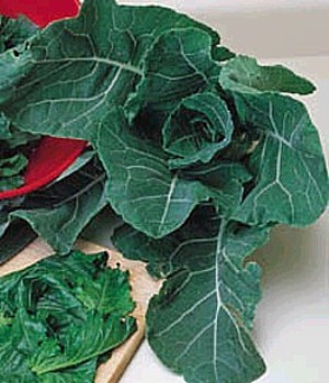 Gourmet Seed International, LLC