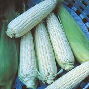 Gourmet Seed International, LLC