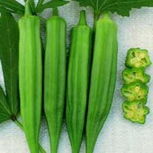 Gourmet Seed International, LLC
