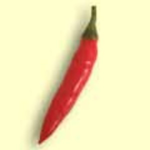 Gourmet Seed International, LLC