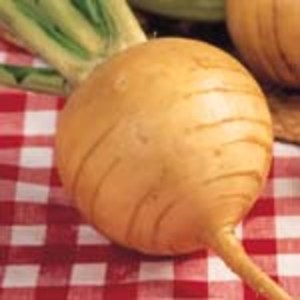 Gourmet Seed International, LLC