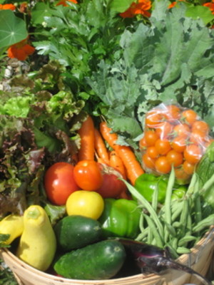 Tracie's Community Farm, LLC