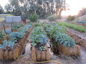 Triple Farms