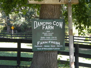 Dancing Cow Farm