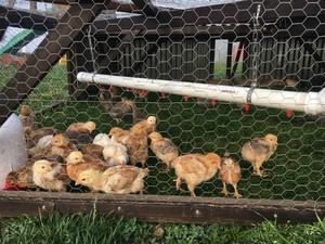 King Family Farmstead
