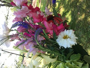 Baxter Family Farm, LLC