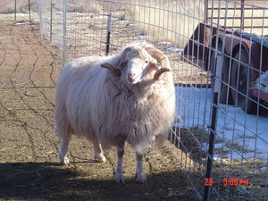 Sagebrush Valley Ranch