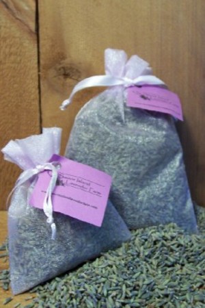 Sauvie Island Lavender Farm