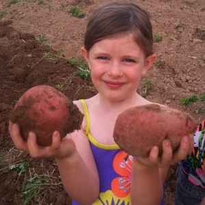 Greene Kitchen Farm