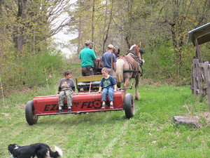 Earthwise Farm and Forest
