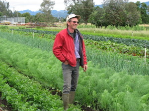 Paul's Produce