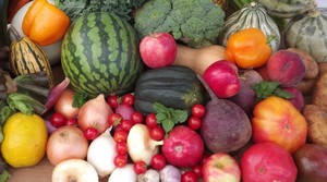 Yesterdays Favorites Farm