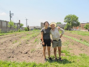 Patchwork Farms