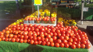Geneva Lakes Produce