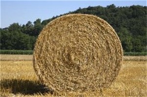 Gerver Hay Farms