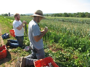 Wimer's Organics