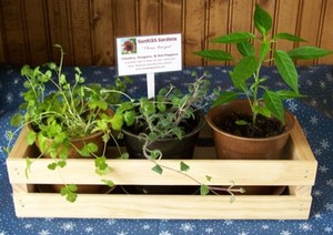 SunKiSS Gardens