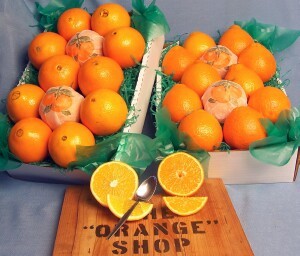 The Orange Shop