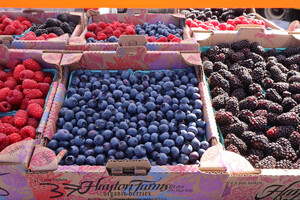 Des Moines Waterfront Farmers Market