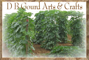 DB Gourd Art of Bowles Farms