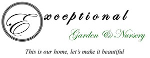 Exceptional Garden and Nursery
