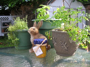 Thyme Square Herb Farm