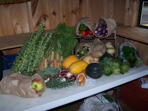 Maxwell Creek Farm Share