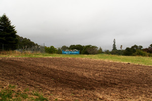 Steed / Martinez Farm