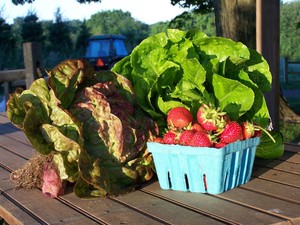 West Green Farm